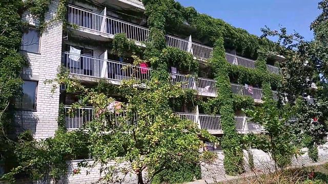 Пансионат "Черномор", Рыбаковка / Отдых на море смотреть онлайн