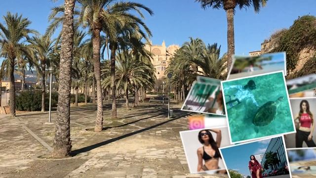 Пальма де Майорка достопримечательности и что посмотреть ?