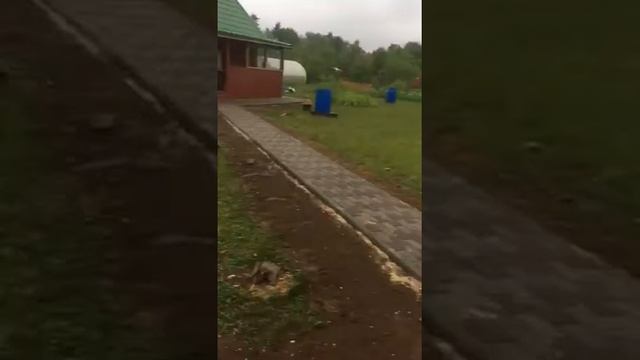 Построенная беседка с укладкой брусчатки на участке смотреть онлайн