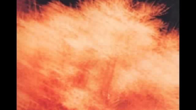 Экономика и новые тренды