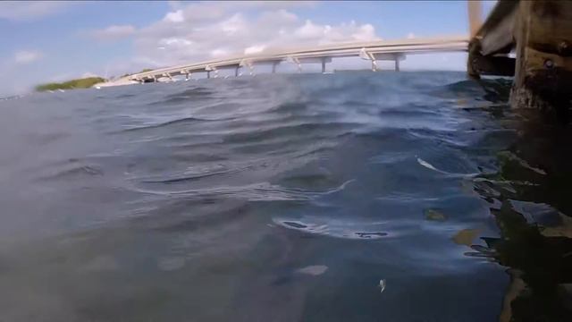 GoPro: Ava vs. The Monster Tarpon! (Metal Edit) смотреть онлайн