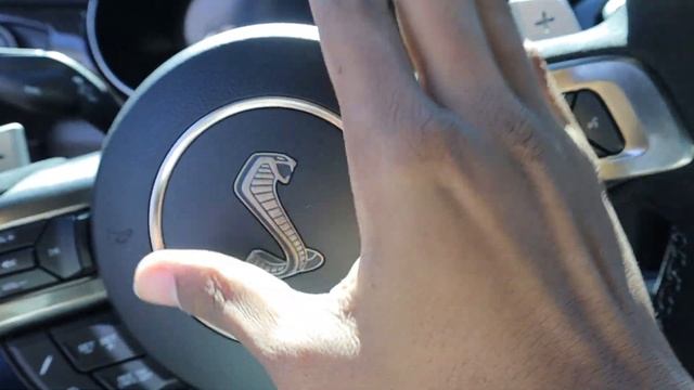 BEAUTIFUL VELOCITY BLUE FORD MUSTANG SHELBY GT500 CARS AND COFFEE IN MEBANE NC смотреть онлайн