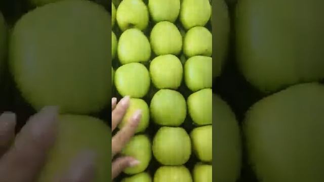 Яблоки Голден первого сорта, калибр 65+ оптом напрямую от фермерского хозяйства смотреть онлайн