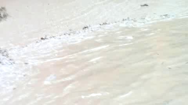 дом Гайрбекова А.С. с.Ножай-Юрт 