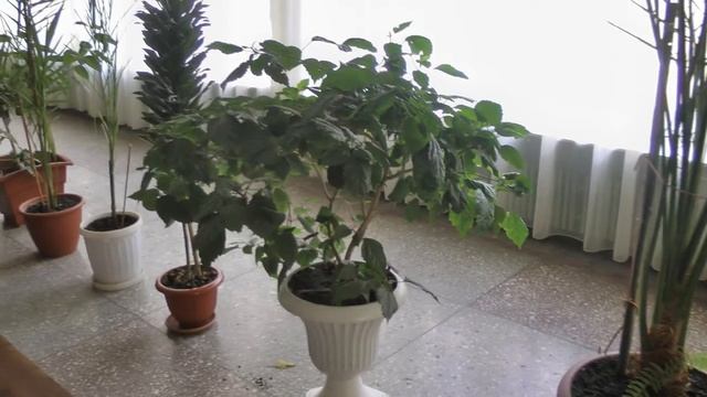 Школа ДО - ПОСЛЕ 2012 - 2014 смотреть онлайн