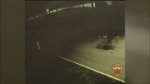 Ясенево_ ночное дежурство с экипажем ППС