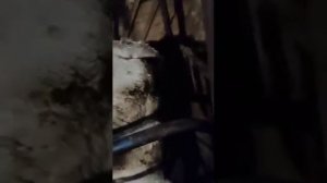 Доильная линия на 8 коров одновременного доения. Продам