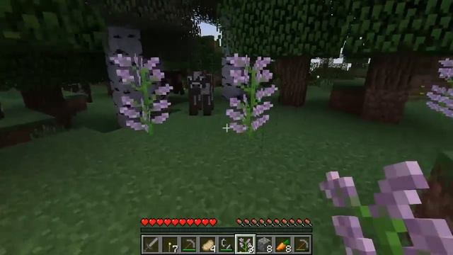 Chunk Error: Survival / S02E09 / "Unknown Lands" / Minecraft смотреть онлайн