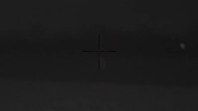 Pulsar Digisight Ultra N455 и доп фонарь