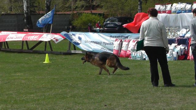 Чемпионат Московской области 2016 г. по ОКД и ЗКС. смотреть онлайн