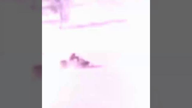 ХАН АЛТАЙ предлагает снегоходные гуры смотреть онлайн