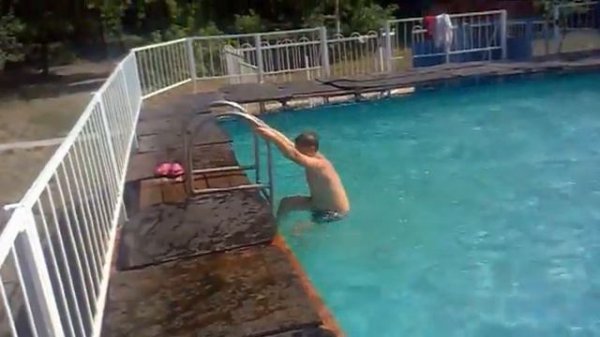 Панда плавает