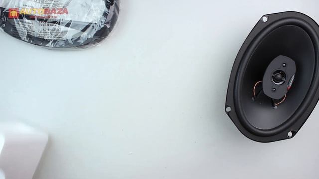 Коаксиальная акустическая система Nakamichi NSE-6917