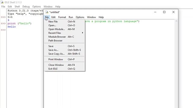 How do you write and save in Python? / How to save a Python Program (Tutorial - 3) смотреть онлайн