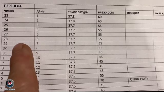 Инкубация перепелиного яйца. Вывод 98%. Видеоурок. Incubating a quail egg video tutorial. смотреть онлайн