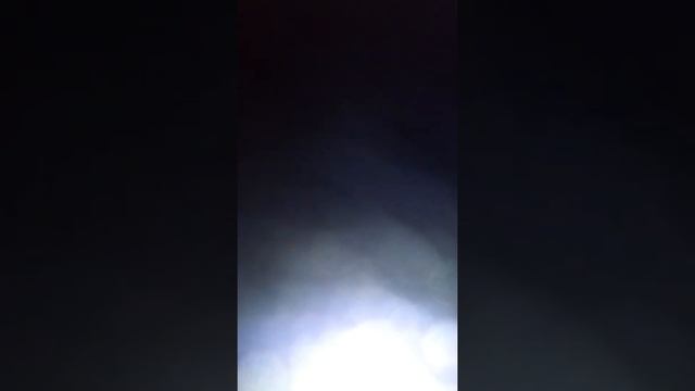 Английский для детей животные часть 1 смотреть онлайн