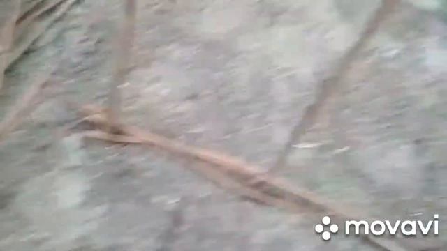 Делаем заборчик из обычных прутьев! Это легко и просто! смотреть онлайн
