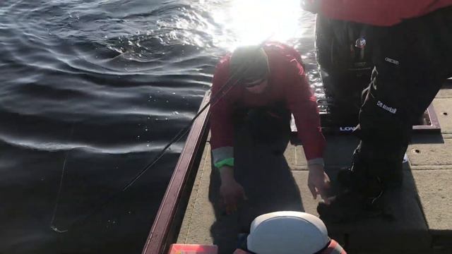 В натяг держи! Трофейные щуки и судаки. Mescalito в работе смотреть онлайн