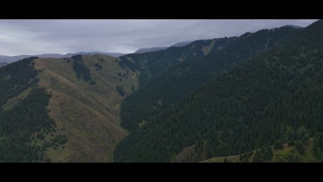 Ала Арча, Чункурчак, Чон Кемин, Бишкек 5К смотреть онлайн