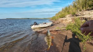 Такой рыбалки у меня давно не было. Горбачи на спиннинг с лодки. Рыбалка на спиннинг на хищника.
