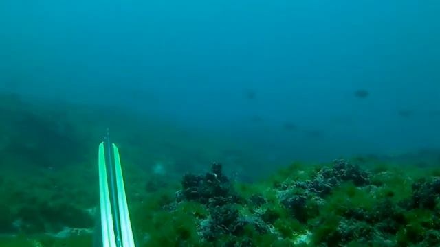 Spearfishing serangan beach смотреть онлайн