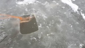 Рыбалка сетями зимой на частном пруду