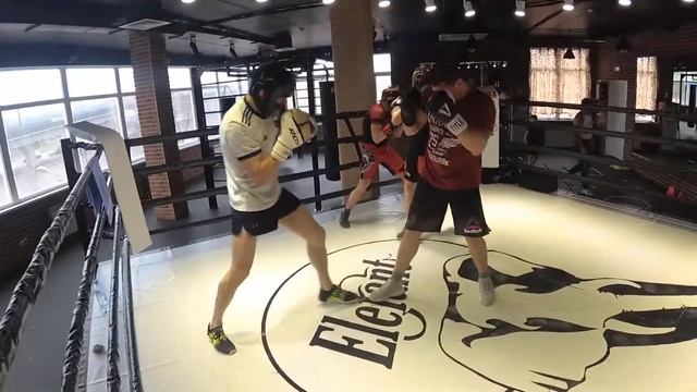 Бокс. Элефант. работа в парах 05.04.19 тренер Березкин. смотреть онлайн