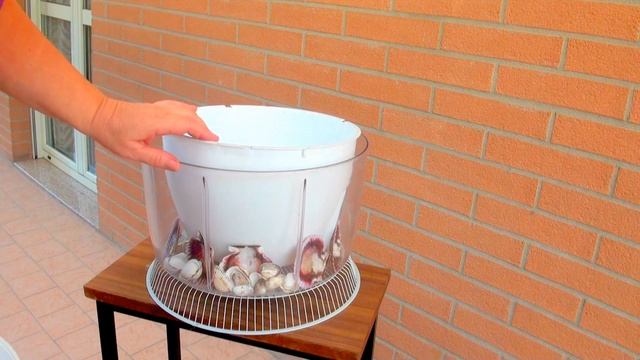Кашпо Своими Руками. Из Морских Ракушек смотреть онлайн