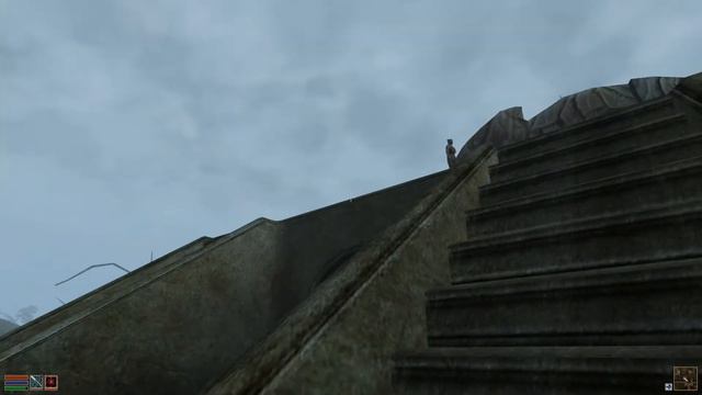 The Elder Scrolls III Morrowind [Linux/OpenMW] - Tashpi Eine Necromantin? - [Let's Play] - 40