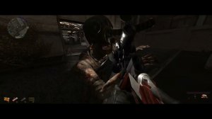 S.T.A.L.K.E.R. DCE #10 Найти лабораторию проекта Дарвин в Мертвом городе