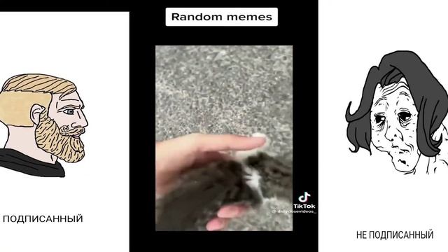 Самая крутая подборка тик ток мемов 2023 года ))))) хихи)))) #мемы #смешно #дослез #рофл #круто #то
