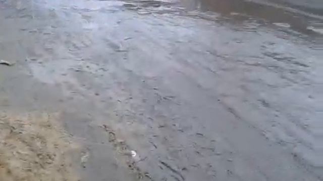 «Лицом в грязь» смотреть онлайн