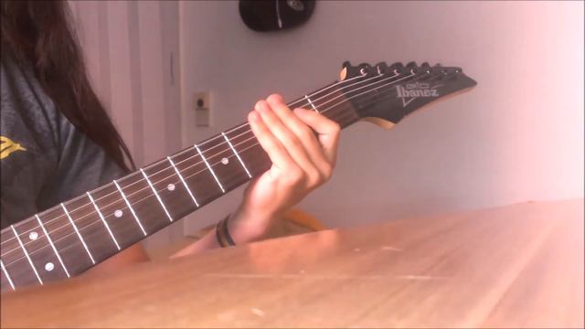 Into The Flood - David Scheinost (Guitar Cover) смотреть онлайн
