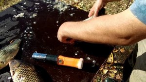 Рыбочистка аккумуляторная.