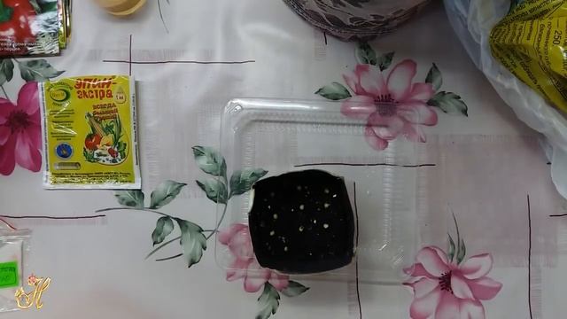 Сеем перцы и баклажаны.Советы начинающему садоводу смотреть онлайн