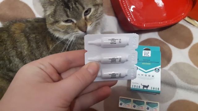 Doctor VIC БИО капли инсекторепеллентные для кошек смотреть онлайн