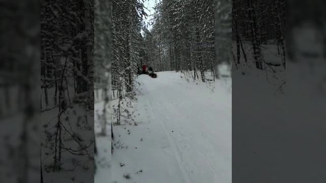 Сургут. Олимпия. Друзья. ноябрь 2021 смотреть онлайн