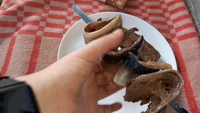 РЫБУ ГОТОВЛЮ ТОЛЬКО ТАК! Шашлык из Рыбы, скумбрия на мангале