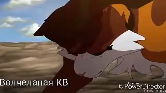 Коты воители клип:Миру мир 🐈 смотреть онлайн