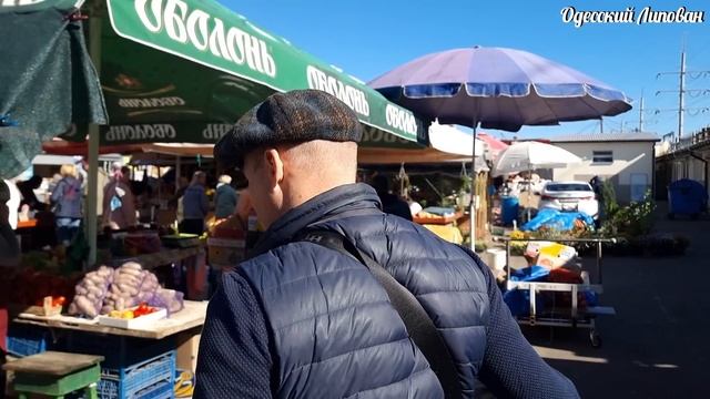 ЗОЛОТЫЕ ЯЙЦА! Одесса сегодня 2022/ Продукты цены/ Фазан и Сарган смотреть онлайн