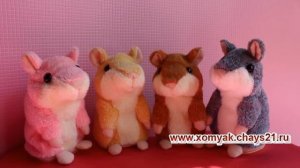 Говорящий хомяк - повторюшка