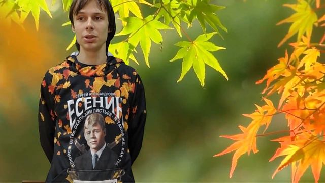 Читает Владимир Поляков смотреть онлайн
