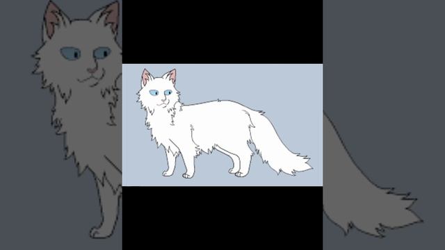 угадай кота воителя по окрасу/1 часть смотреть онлайн