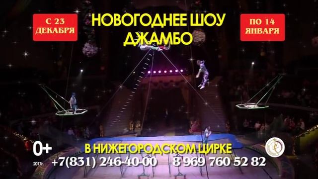 Новогоднее шоу "ДЖАМБО" в Нижегородском цирке с 23 декабря по 14 января смотреть онлайн