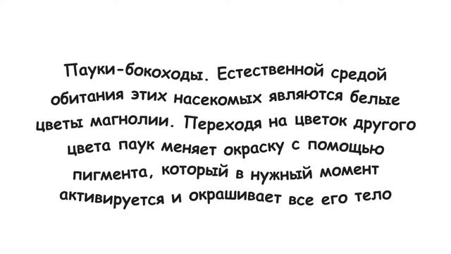 10 животных, способных менять свою окраску Лучшие Маскировщики смотреть онлайн