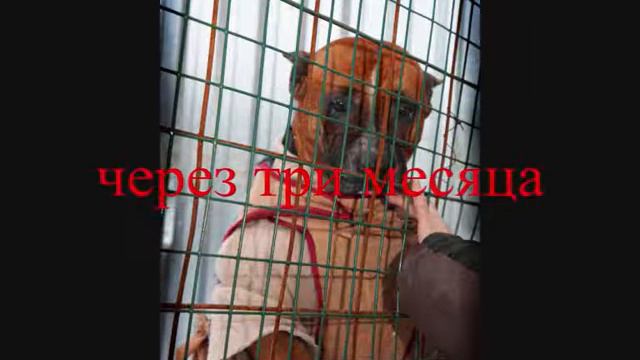 Из Москвы, с любовью.wmv смотреть онлайн