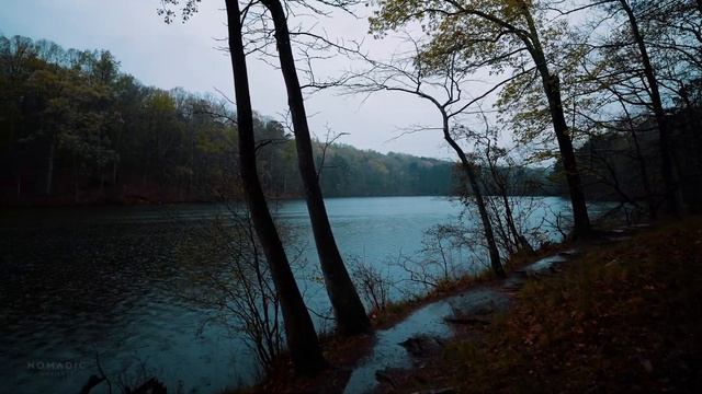 Walking In Thunderstorm, Binaural Rain And Nature Sounds For Sleep And Study   ASMR