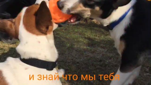 ЛОКИ БОБО ТЫ ТОООП смотреть онлайн