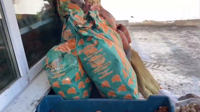 Партизанск. Хожу по делам. смотреть онлайн