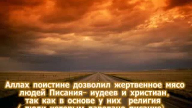 Шейх Ибн Баз МЯСО ЗАРЕЗАННОЕ ОСТАВИВШИМ НАМАЗ 240p смотреть онлайн